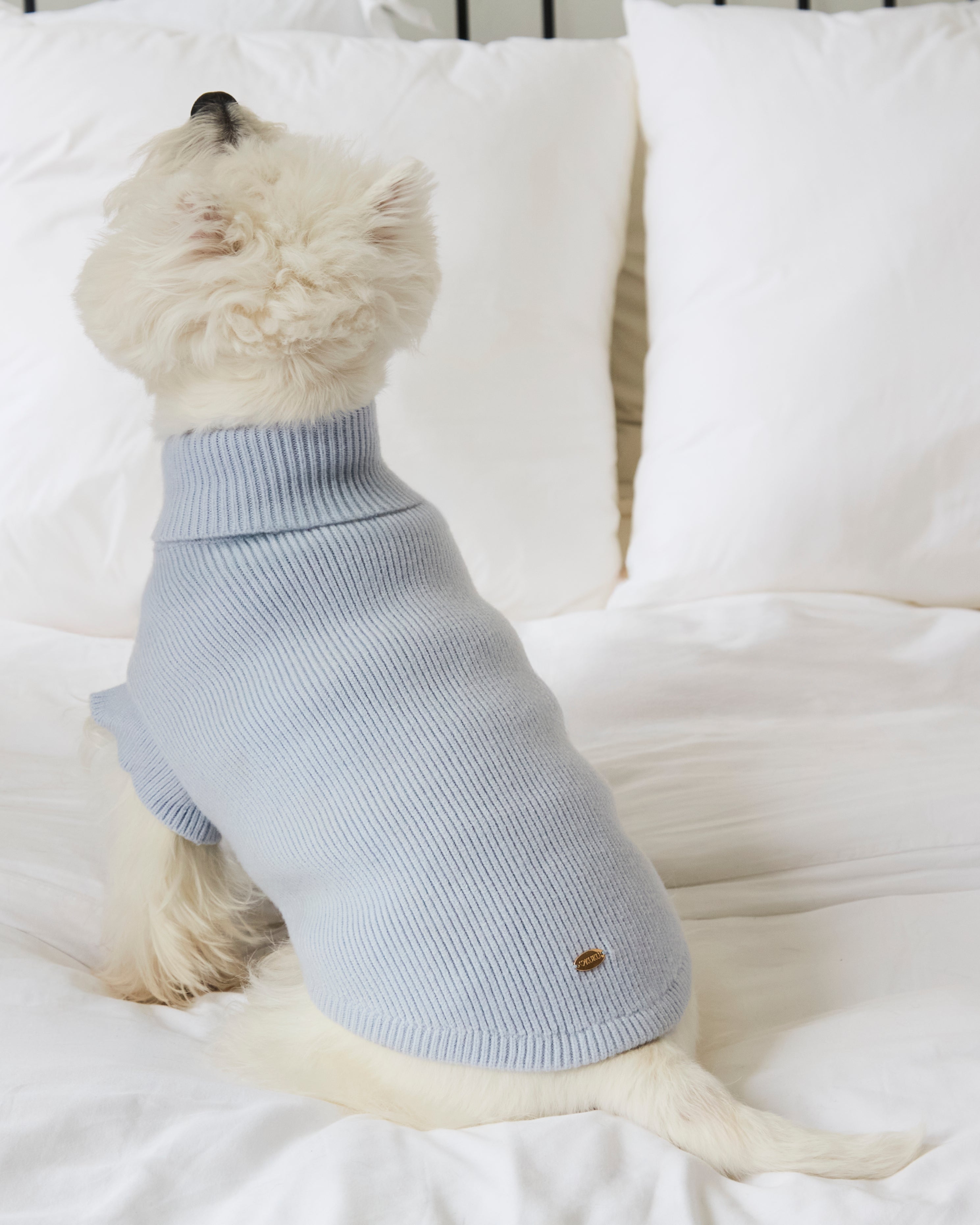 Darling Classic Sweater